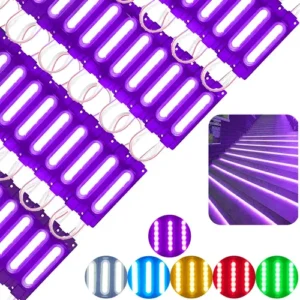 Modulo Encapsulado Color: Morado